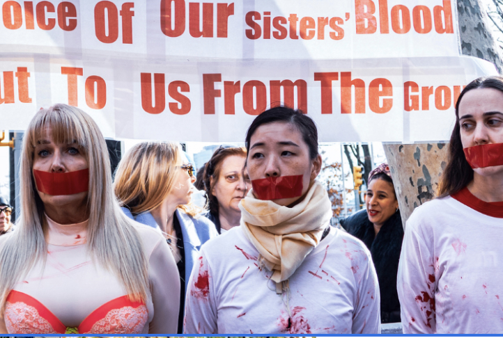 “Activate” Exhibition Video